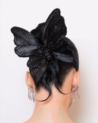 Andrew Ly Masterclass